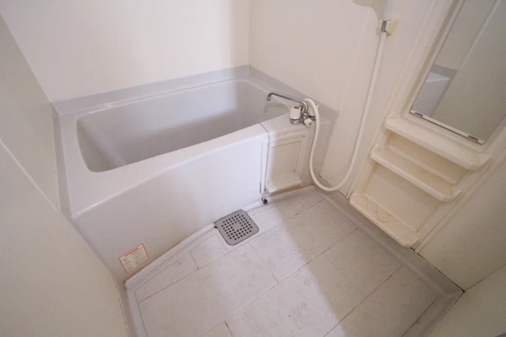 コートカメリア