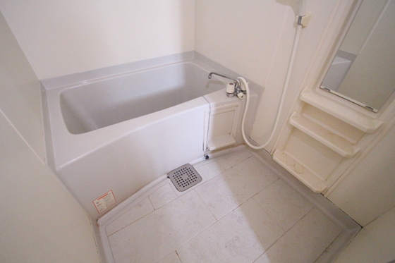 コートカメリア