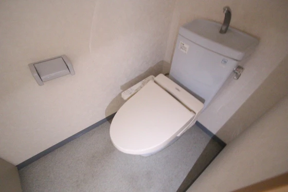 コートカメリア