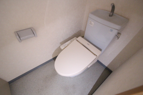 コートカメリア