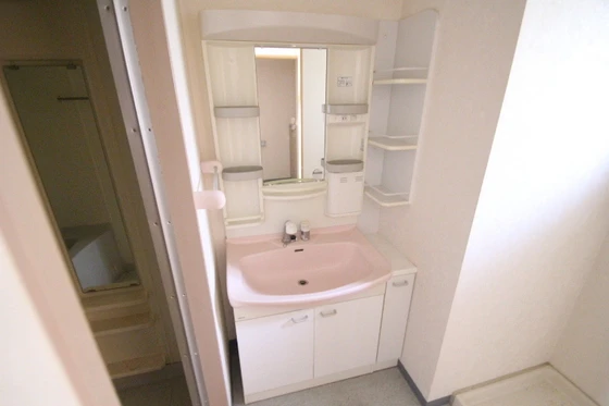 コートカメリア