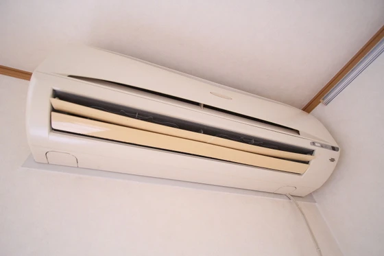 コートカメリア