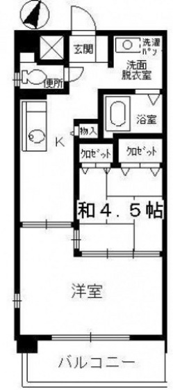 コートカメリア