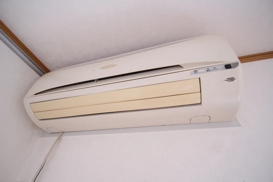 コートカメリア