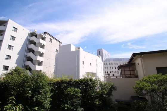 コートカメリア