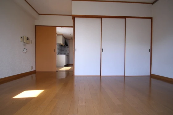 コートカメリア