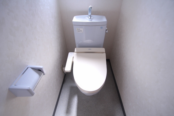 コートカメリア