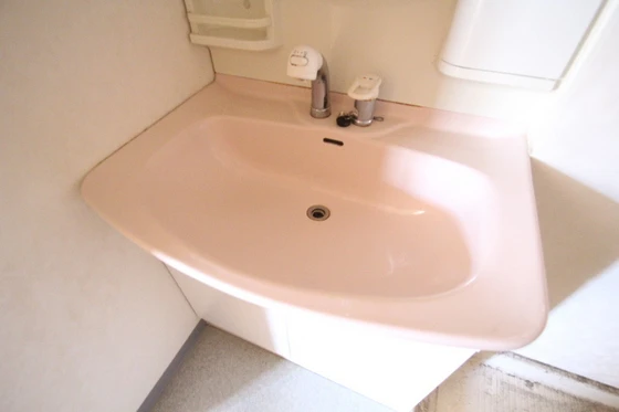 コートカメリア