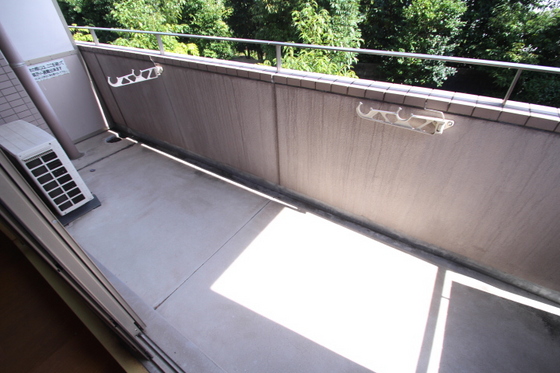 コートカメリア