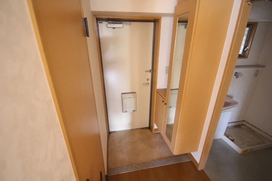 コートカメリア