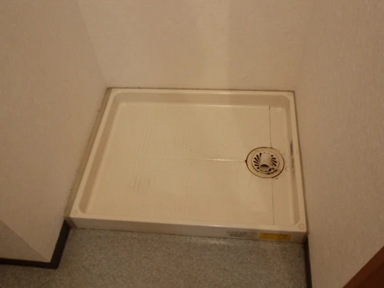 コートカメリア