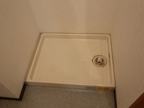 コートカメリア