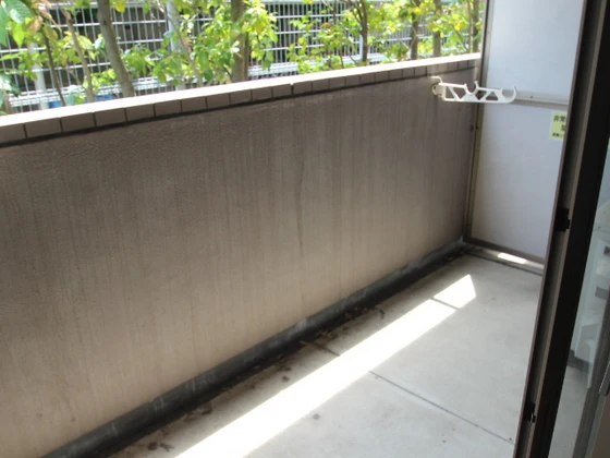 コートカメリア