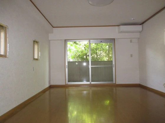 コートカメリア