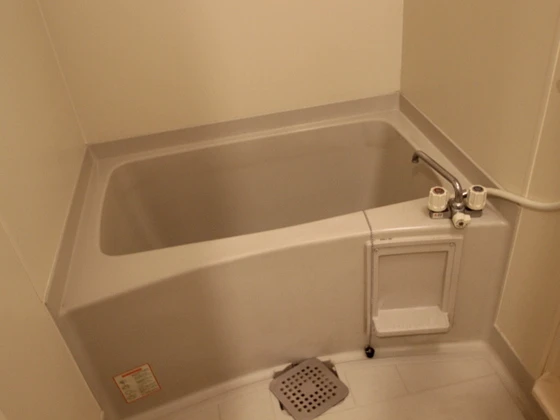 コートカメリア