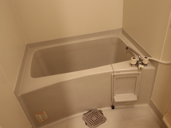 コートカメリア