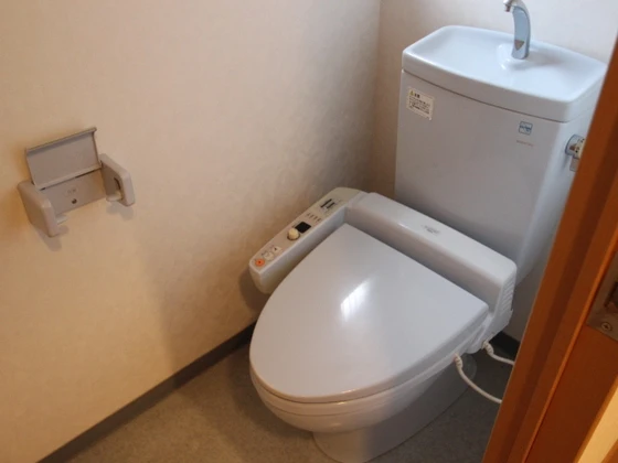 コートカメリア