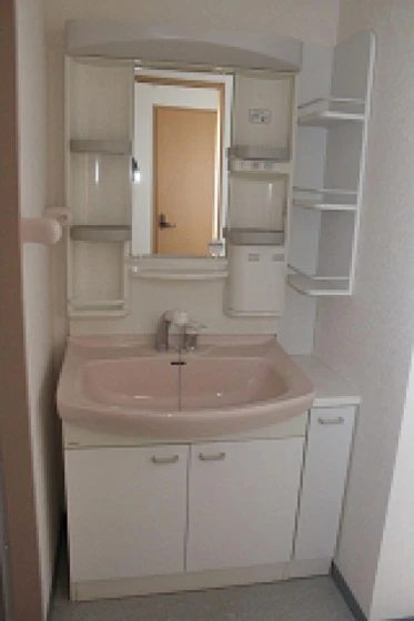 コートカメリア