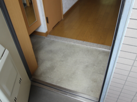 コートカメリア