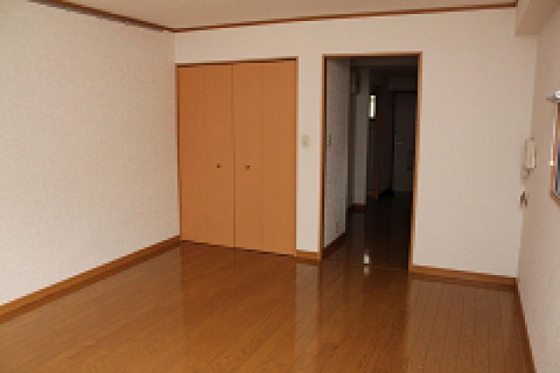 コートカメリア