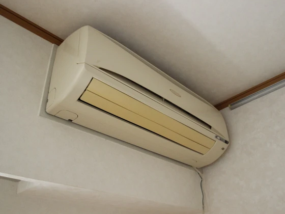 コートカメリア