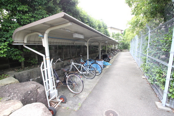 コートカメリア