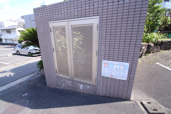 コートカメリア