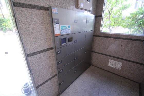 コートカメリア