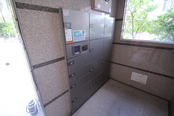 コートカメリア