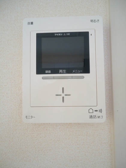 ジプソフィーラ B