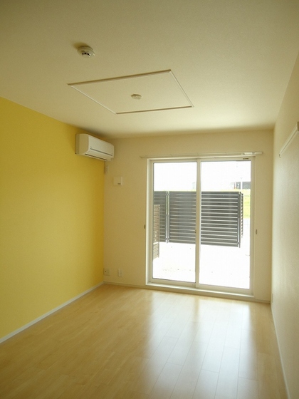 ジプソフィーラ B