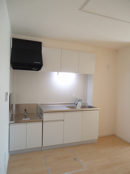 ジプソフィーラ B