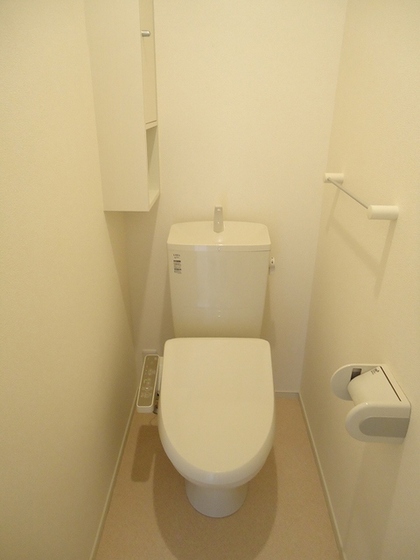 ジプソフィーラ B