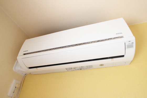 ジプソフィーラ B