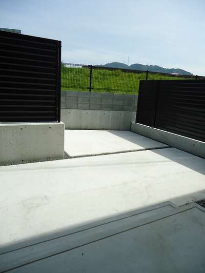 ジプソフィーラ B