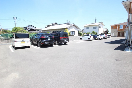 ジプソフィーラ B