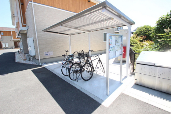 ジプソフィーラ B