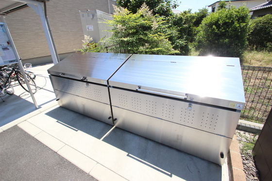 ジプソフィーラ B