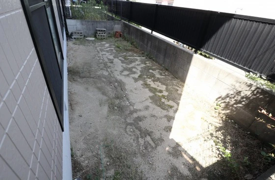 ディアスミドリA