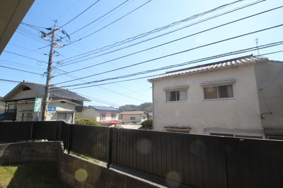 ディアスミドリA