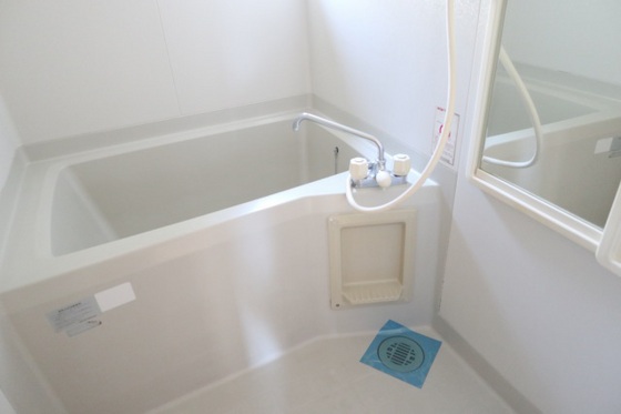 ディアスミドリA