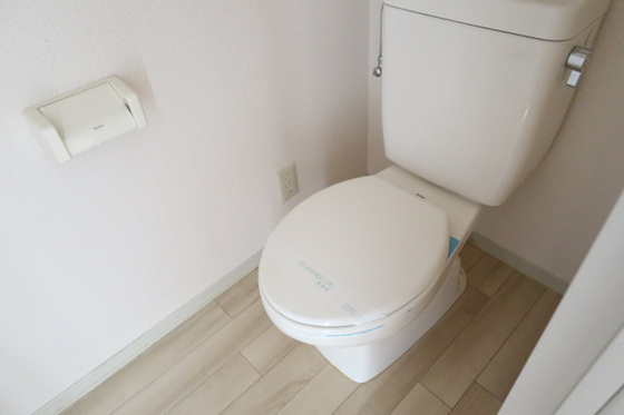 ディアスミドリA