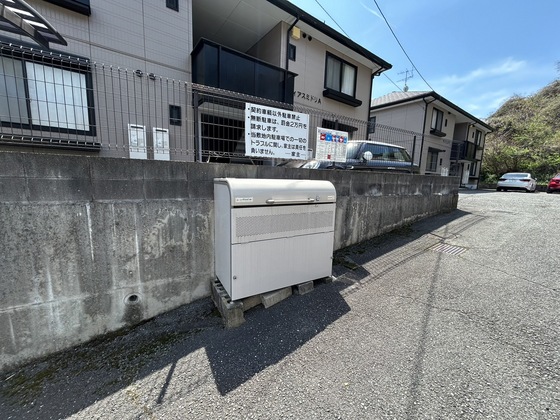 ディアスミドリA