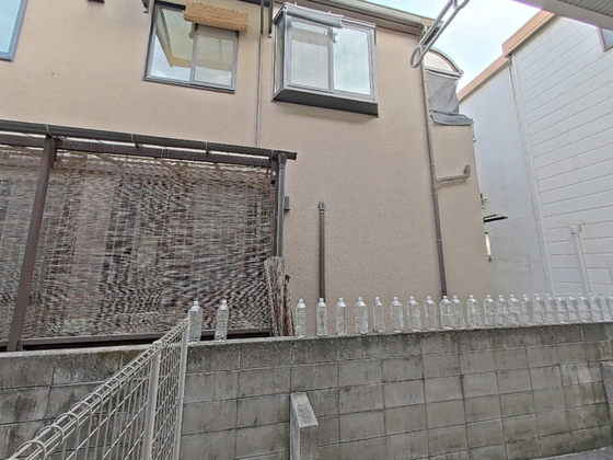 カサヴィアンカ