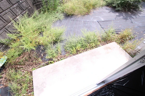 エルディム神明