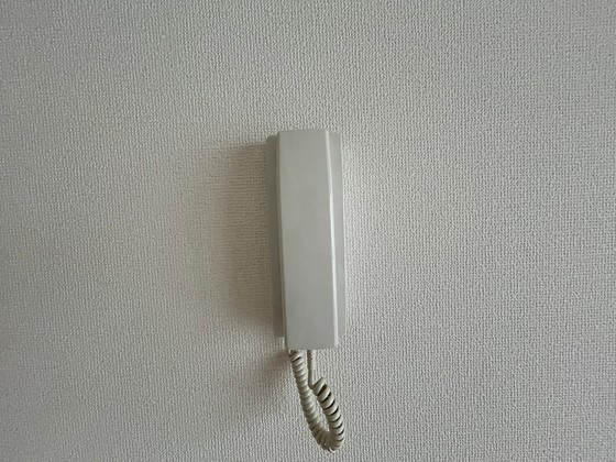 ラヴォール国泰寺