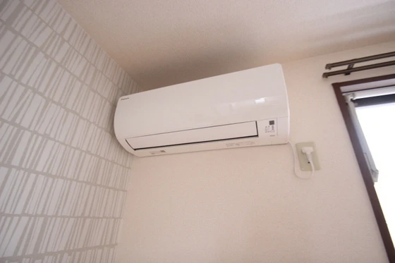 ピースフルラビット