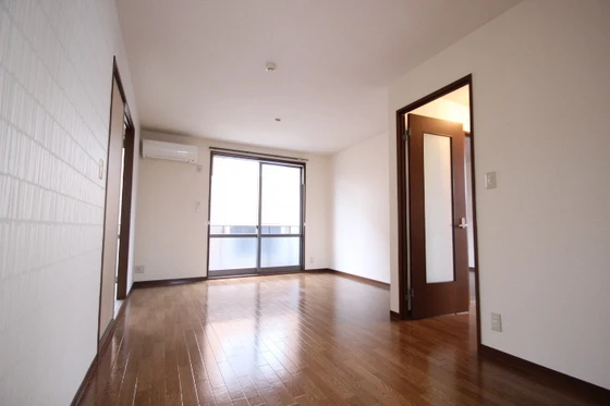 ピースフルラビット