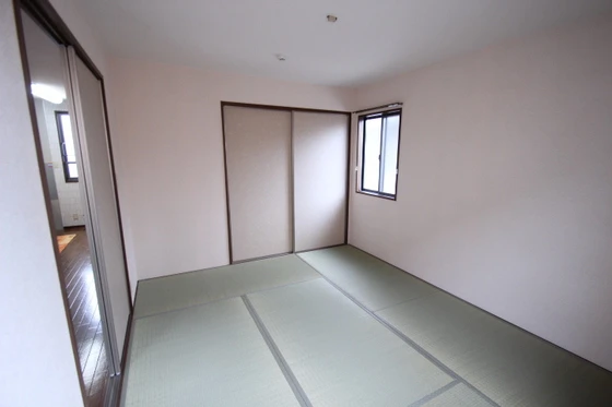 ピースフルラビット