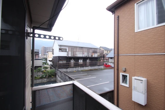 ピースフルラビット